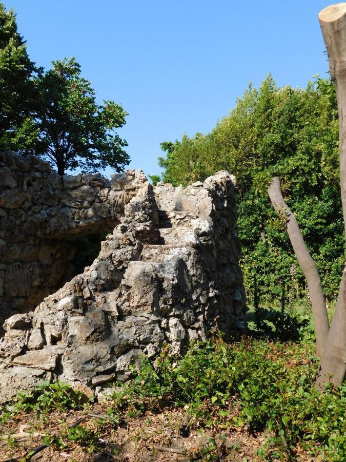 Appartamento Con Piscina Immersa Nel Verde Cascina Exterior photo