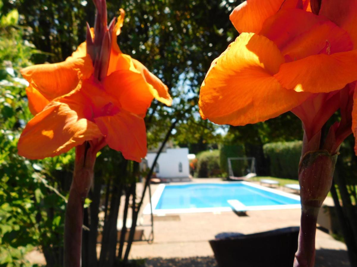 Appartamento Con Piscina Immersa Nel Verde Cascina Exterior photo